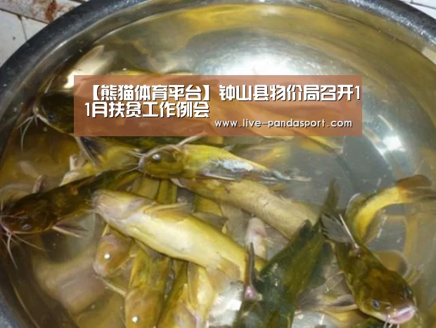 体育API