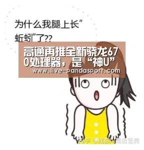 体育API