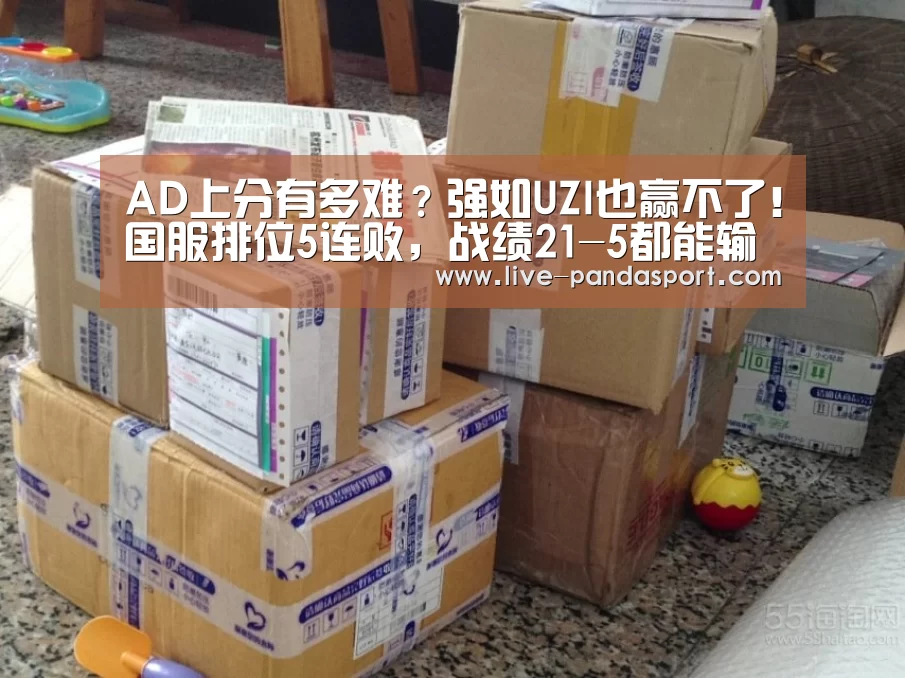 体育API