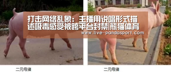 熊猫体育官网