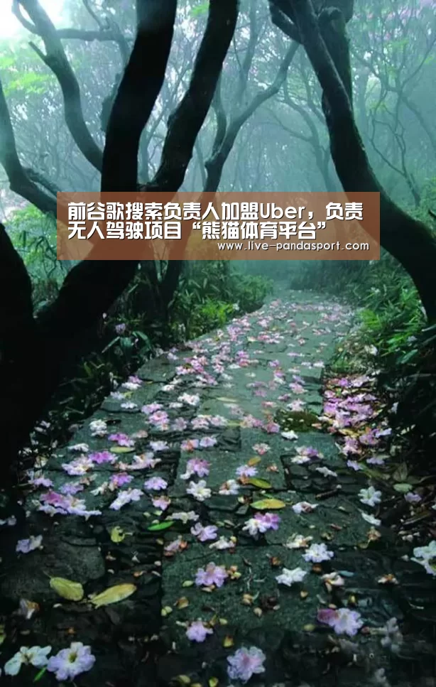 熊猫体育