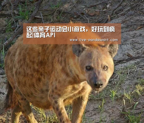熊猫体育官网