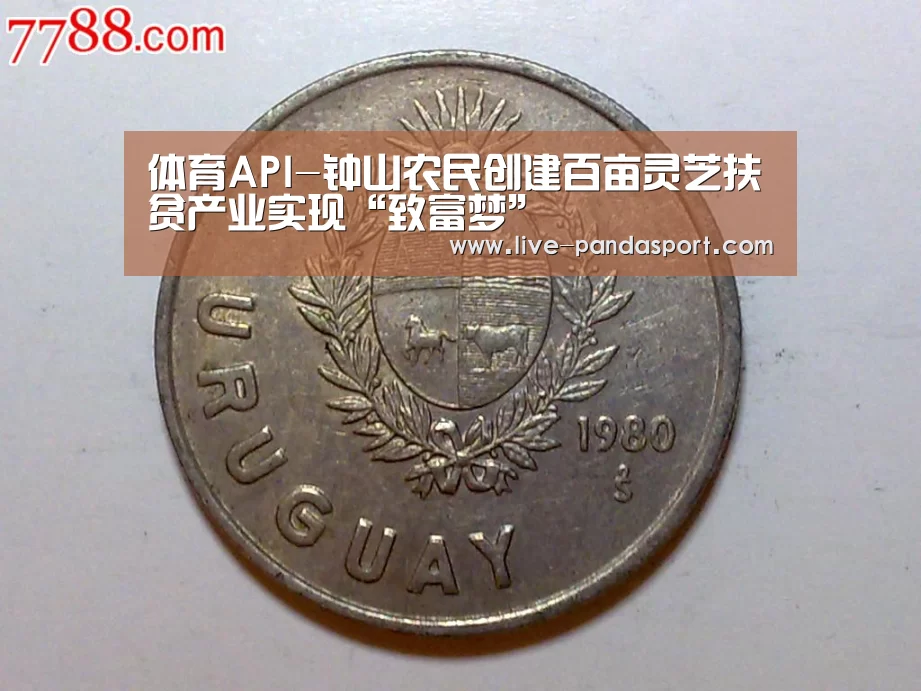体育API-钟山农民创建百亩灵芝扶贫产业实现“致富梦”(图3) 熊猫体育平台