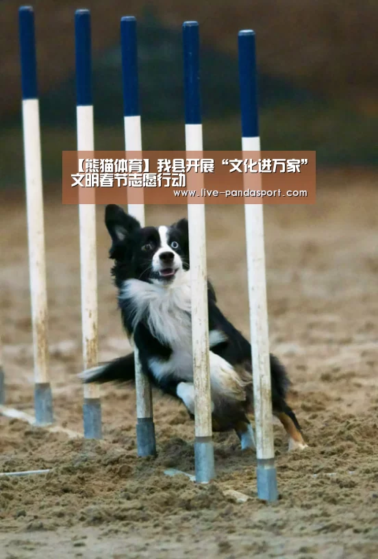 【熊猫体育】我县开展“文化进万家”文明春节志愿行动(图2) 熊猫体育