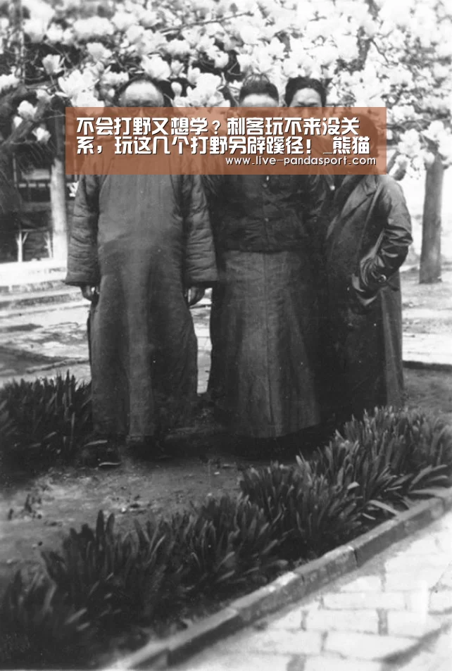 不会打野又想学？刺客玩不来没关系，玩这几